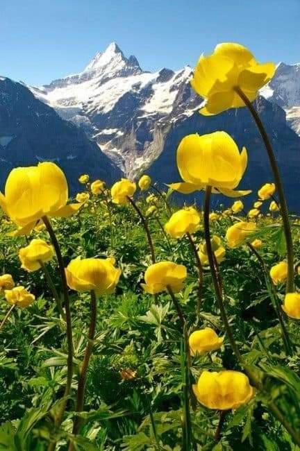 Ubaye.Mexico Leilighet Barcelonnette Eksteriør bilde
